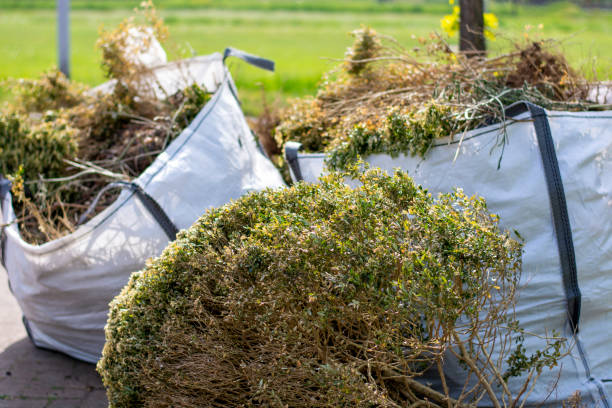 Best Attic Cleanout Services  in Walden, TN